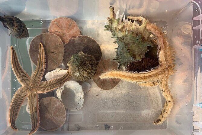 Guided Jet Ski Adventure Tour - The Itinerary in Detail