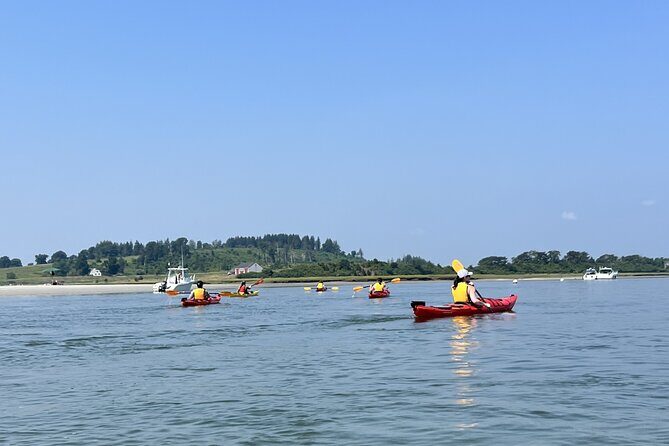 Guided Kayak at the Crane Estate - Who Should Consider This Tour?