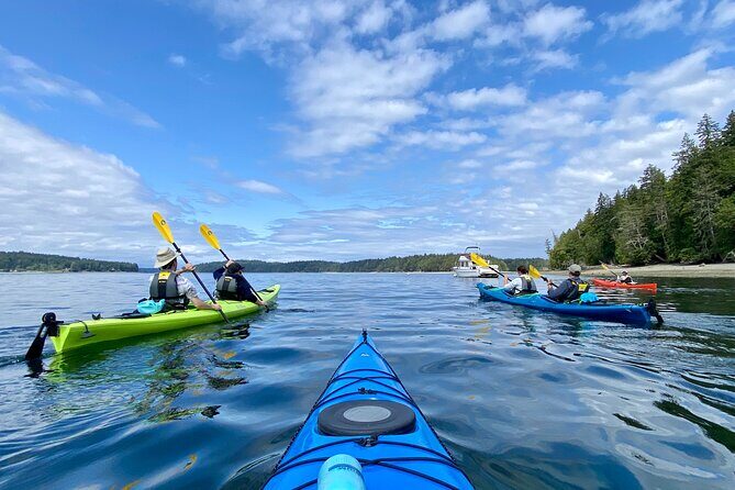 Guided Kayak Tour To Hope Island State Park - Why This Tour Works for Different Travelers