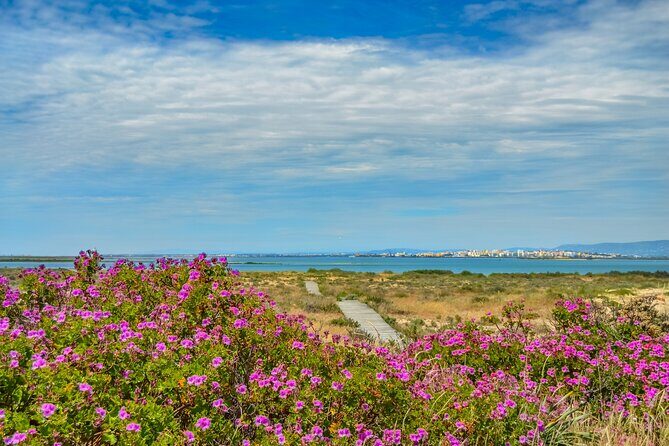 Guided Nature Tour & Hop On Hop Off 3 Islands - Who Is This Tour Best Suited For?