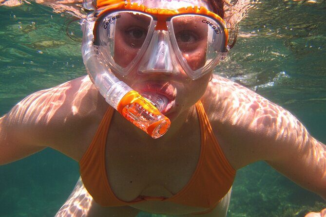 Guided Snorkeling Experience - Final Thoughts: Why Choose This Tour?