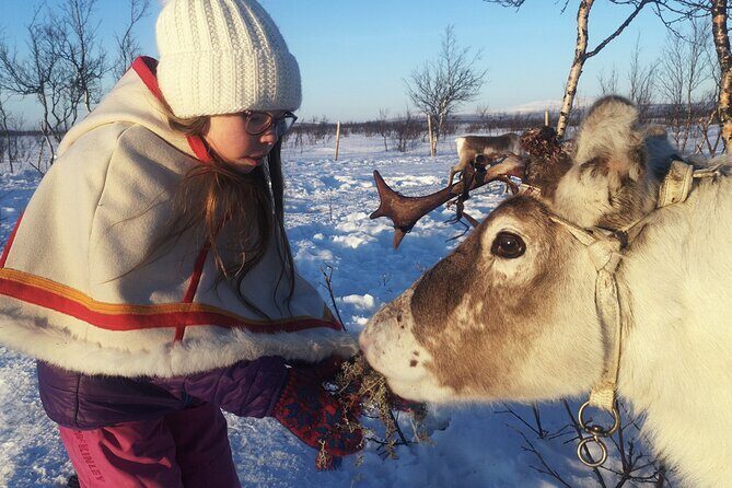 Guided Tour to Icehotel and Jukkasjärvi - Transportation & Logistics