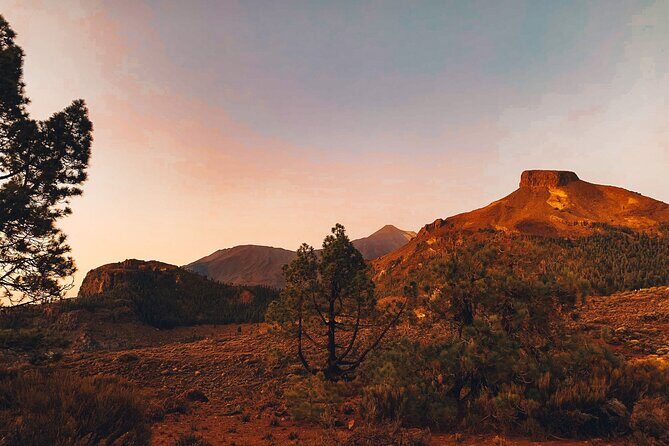 Guided Tour to Teide National Park in Tenerife - Practical Tips for Your Tour