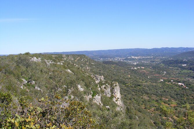 Guided Tour to the Geological Monument of Rocha da Pena - The Sum Up