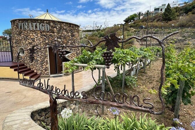 Guided Tour with 6 Wine Tasting - What To Expect from the Tour