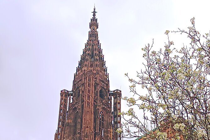 Guided Tours of Strasbourg Cathedral - Final Thoughts: Why This Tour Is a Solid Choice