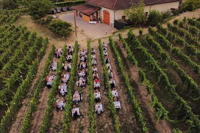 Guided Walk and Lunch in the Vineyard in Alba - Practical Considerations