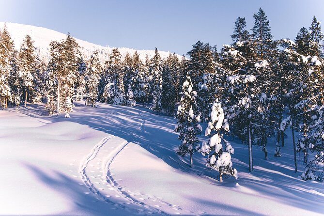 Guided Wilderness Skiing Tour In Pyhätunturi - FAQ