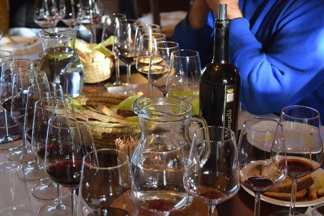 Guided Wine and Olive oil tasting - The Itinerary and Tasting