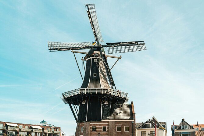 Haarlem Private Day Trip from Amsterdam with Local - Who Will Love This Tour?