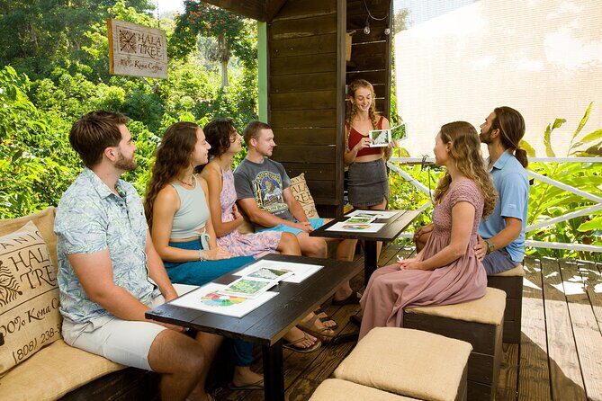 Hala Tree Coffee Farm Tour - The Farm and the Welcome