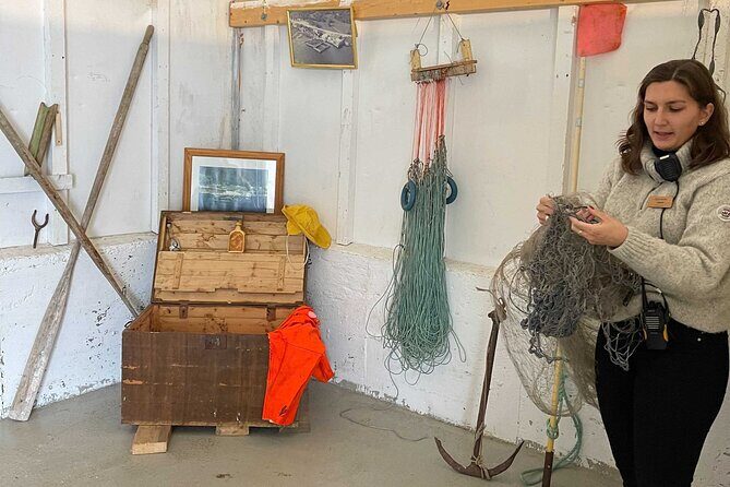 Half Day Arctic Fjord Cruise from Tromso - Who Will Love This Tour?