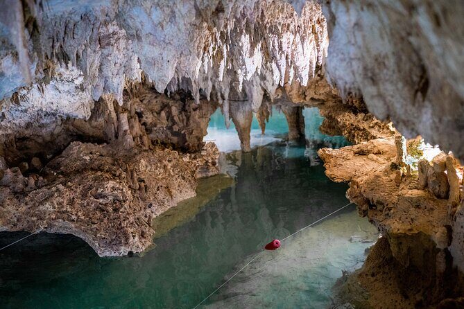 Half Day Cenotes Experience - Exploring the Itinerary in Detail