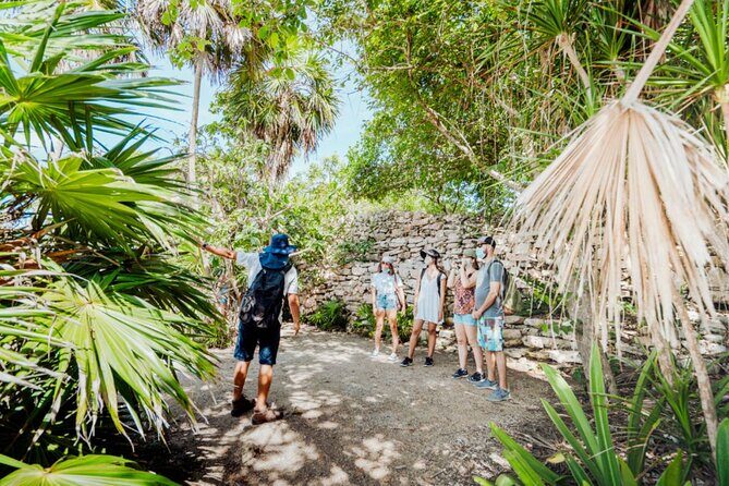 Half-Day Explore Tour of Tulum, Gran Cenote with Local Tacos - What’s Included and What to Expect