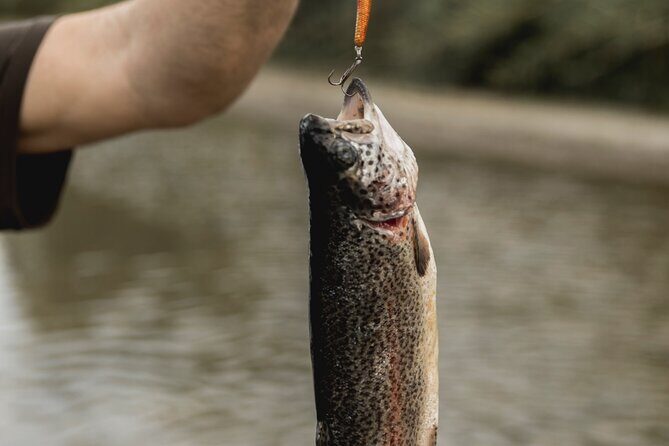 Half Day Fishing Adventure - Who Will Love This Tour?