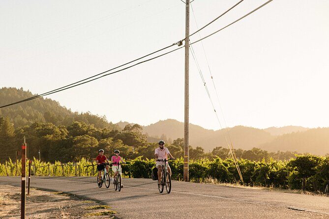 Half Day Guided Electric Bike Wine Tasting Tour with Lunch - Analyzing the Value