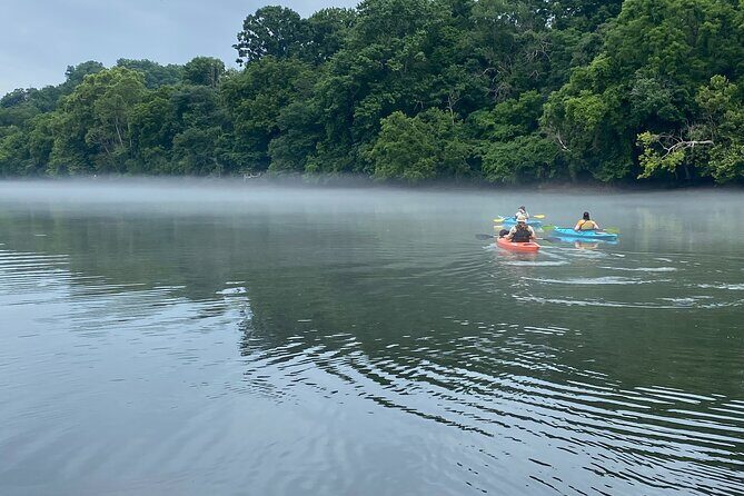 Half-Day Guided Kayaking in the Smoky Mountains of Tallassee - Practical Details: What You Need to Know