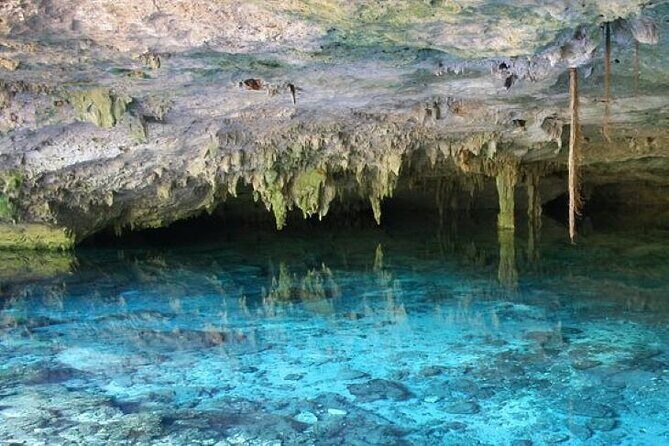 Half Day Horseback Riding Adventure with Cenotes in the Jungle - Authentic Mayan Snack and Cultural Touches