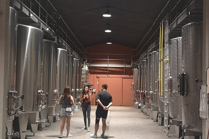 Half-day in the Médoc : 2 wineries & 6 wines - The Practicalities: What Does the Tour Include?