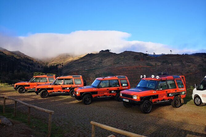 Half Day Jeep Safari Tour at Pico Areeiro and Santo da Serra - The Experience and Guides