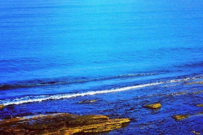 Half-Day Olympia Private Shore Excursion and Beach - The Comforts and Convenience: What’s Included