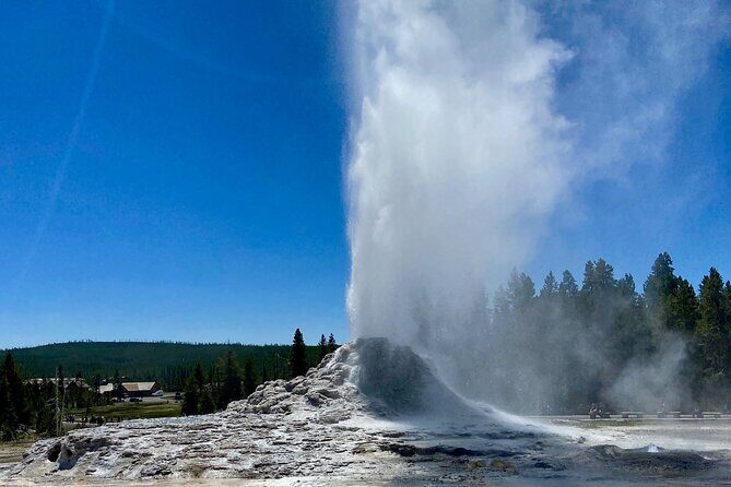 Half Day Private in Yellowstone Geyser Basin Tour - Authentic Traveler Feedback and Insights