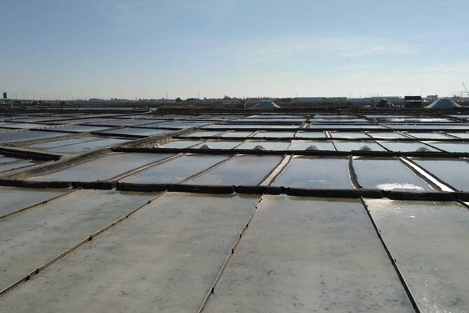 Half-Day Private Tour in Aveiro and Costa Nova - Analyzing the Price and Value