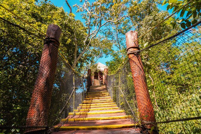 Half Day tour Zipline + Rappel + Cenote from Riviera Maya hotels - The Sum Up: Is It Worth It?