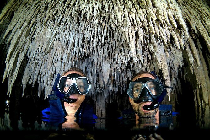 Half-Day Underwater World Tour - Snorkeling at the Mesoamerican Reef