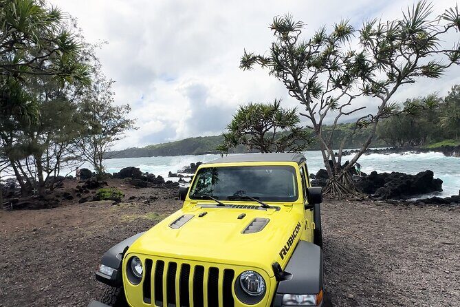 Half way to Hana Maui Open Air Jeep Private Tour - An In-Depth Look at the Tour