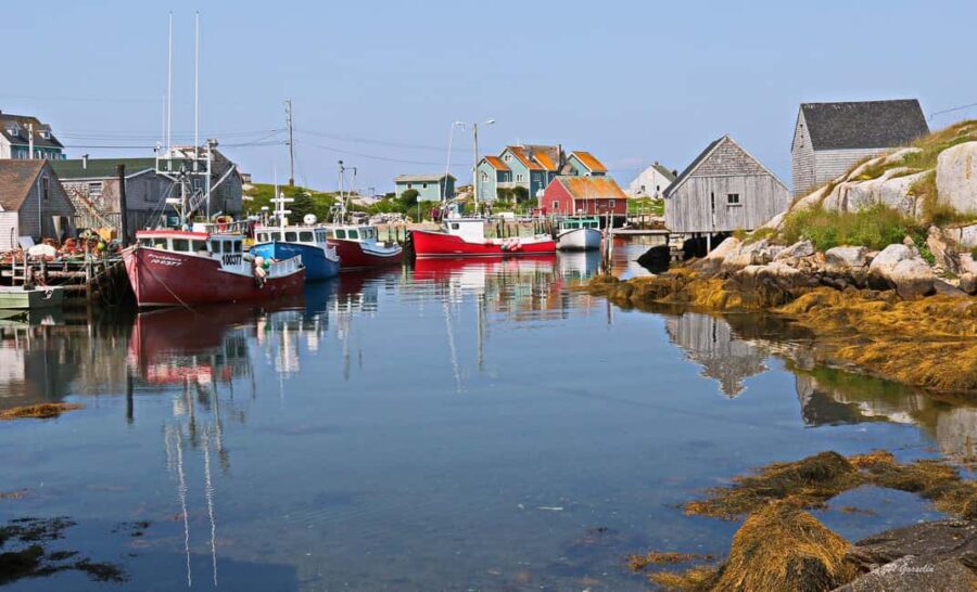 Halifax: South Coast Nova Scotia Private Day Tour - Who Will Enjoy This Tour?