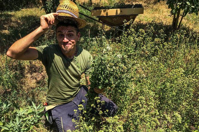 HERBS LAB - from plant to glass - Practical Details & Value