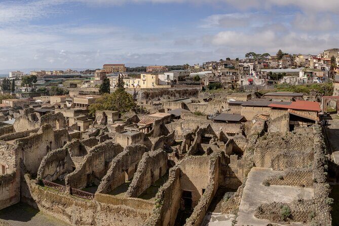Herculaneum, Vesuvius and Pompeii Full Day Tour from Naples - Who Should Consider This Tour?