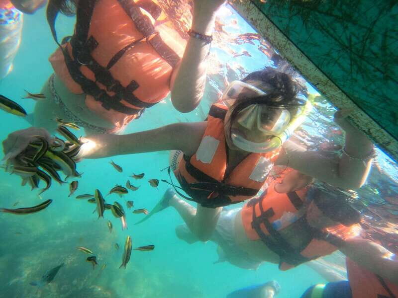 Hermosa Isla de ixtapa - The Logistics and Practicalities