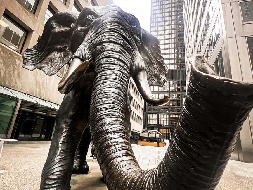 Hidden Toronto City Walking Tour - Why You Should Consider This Tour