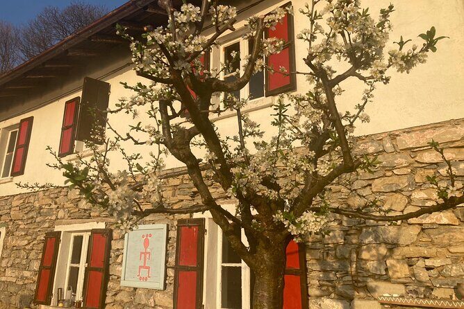 Hike in Blevios Forest for a Private Yoga Class - The Value of This Experience