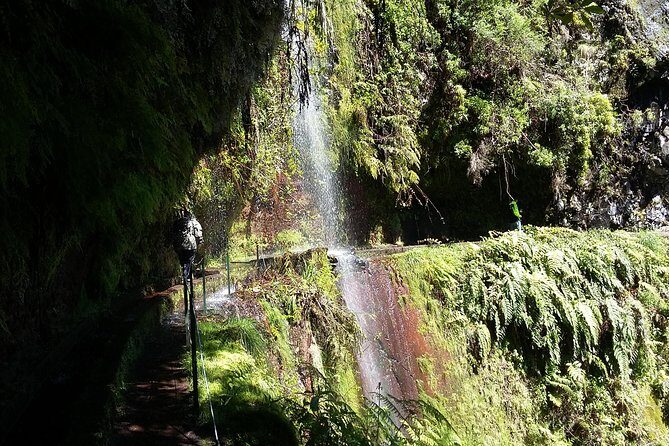 Hike in Laurisilva Levada do Rei - Madre of Life small Group guided walk - Who Should Consider This Tour?