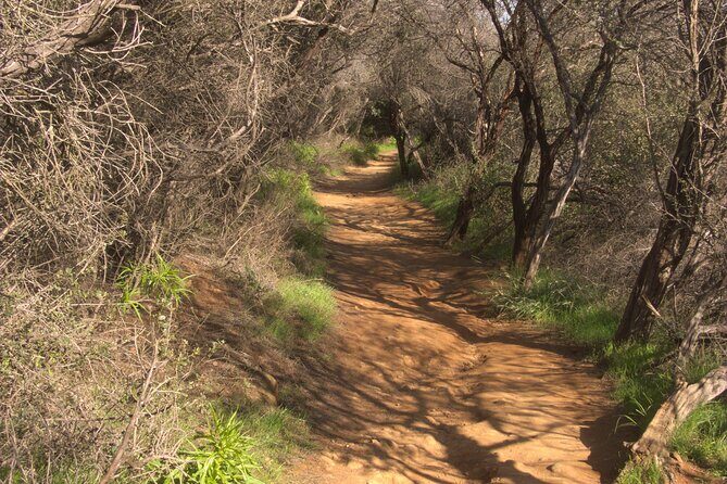 Hike in the Santa Monica Mountains - The Experience and the Guide
