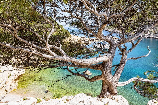 Hike to the Blue Cave Marseille with swimming and snack - A Deep Dive into the Marseille Blue Cave Hike