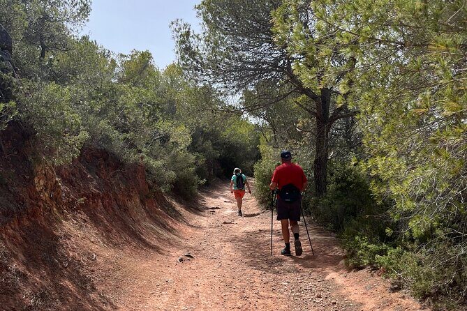 Hiking guide tours in Ibiza - Explore stunning views with us! IHL - Who Should Consider This Tour?