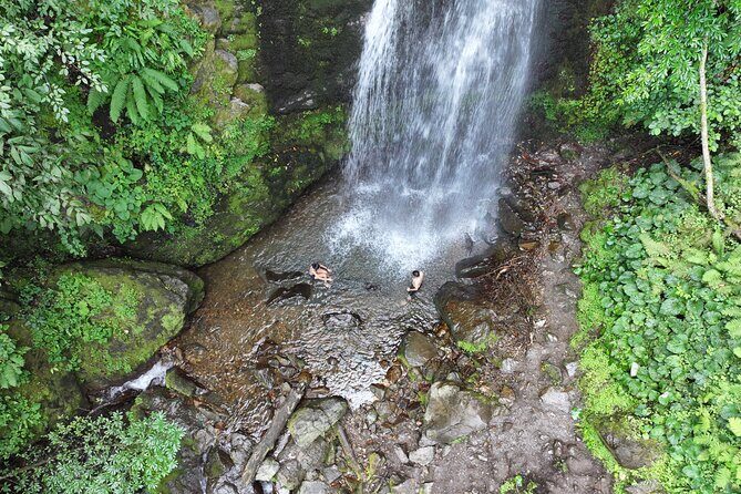 Hiking in Batumi ( Mtirala National Park) - What to Expect from the Itinerary