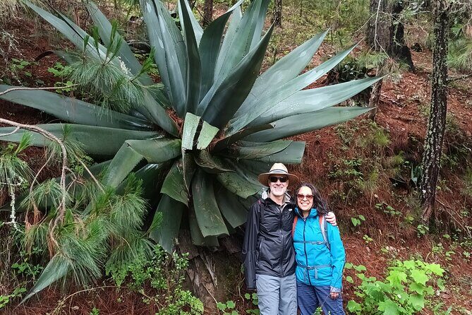 Hiking in Sierra Norte the most spectacular trails in Oaxaca - Who Should Consider This Tour?