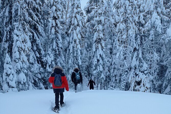Hiking tour in Nuuksio National Park with meal and snacks - Transportation and Group Size
