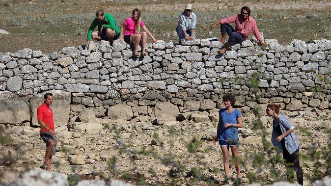 Hiking tour Vidova gora and visiting Museum of olive oil - Practical Details and Value for Money