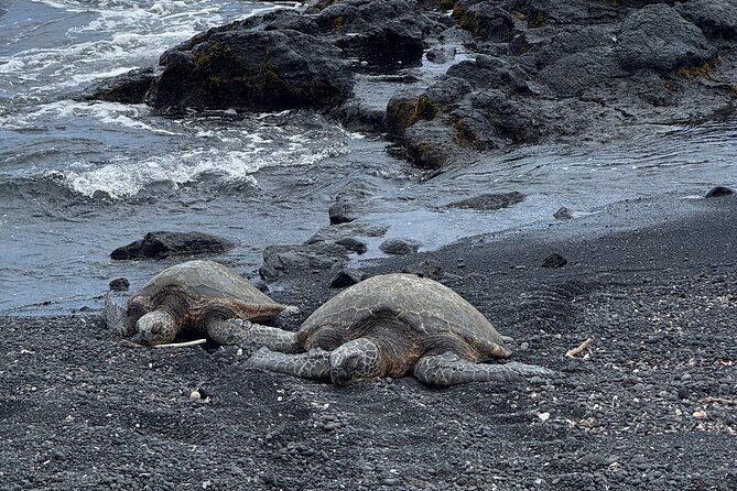 Hilo Excursion Volcanoes Akaka Falls And Black Sand Beach - What to Expect from the Tour: A Deep Dive