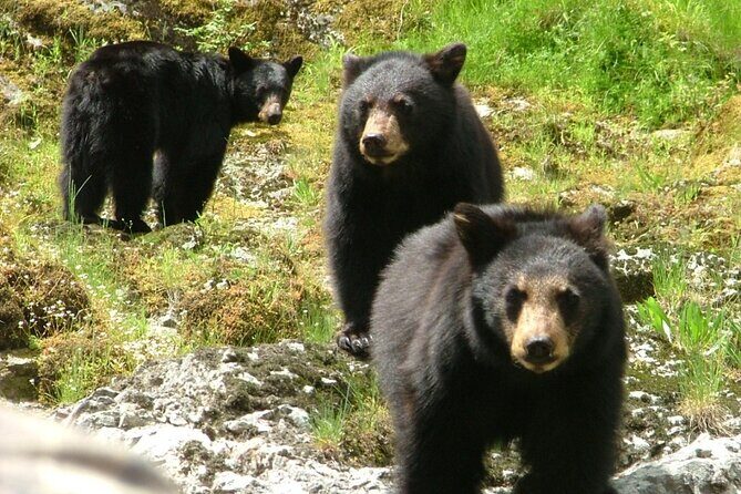 Historic Mail Route Tour - Final Thoughts