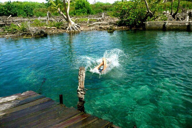 Holbox, Cenote & Isla Pasion from Cancun & Playa del Carmen - Who Should Consider This Tour?