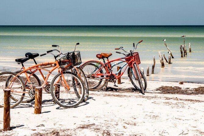 Holbox Island Deluxe Tour, all-day and complete excursion! - An In-Depth Look at the Itinerary