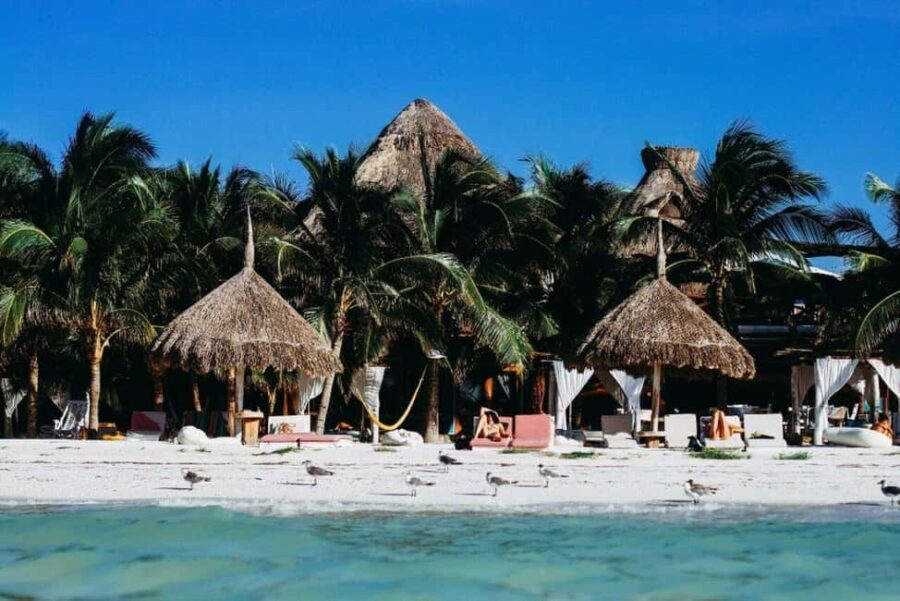 Holbox Island: Feel the Pristine Nature Around You - What Makes This Tour Valuable?