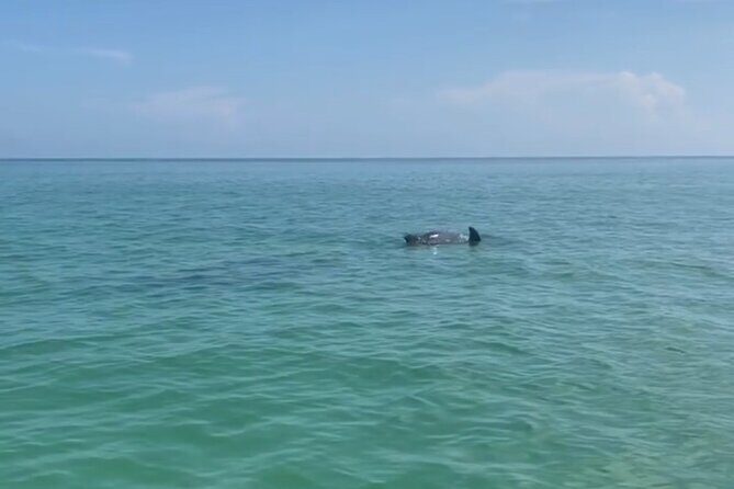 Holbox: Islas Pajaros, Yalahau & Isla de la Pasión with pick up - A Closer Look at the Itinerary
